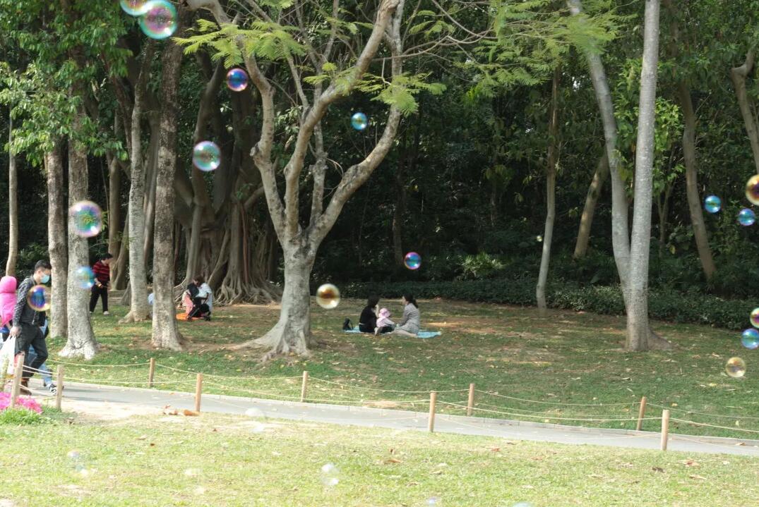 三月春意昂·結(jié)伴探春風(fēng)——君林企業(yè)踏青活動掠影 